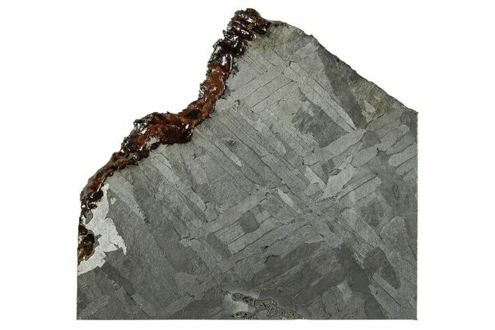 Etched Seymchan Meteorite Slice ( g) - Russia #264995